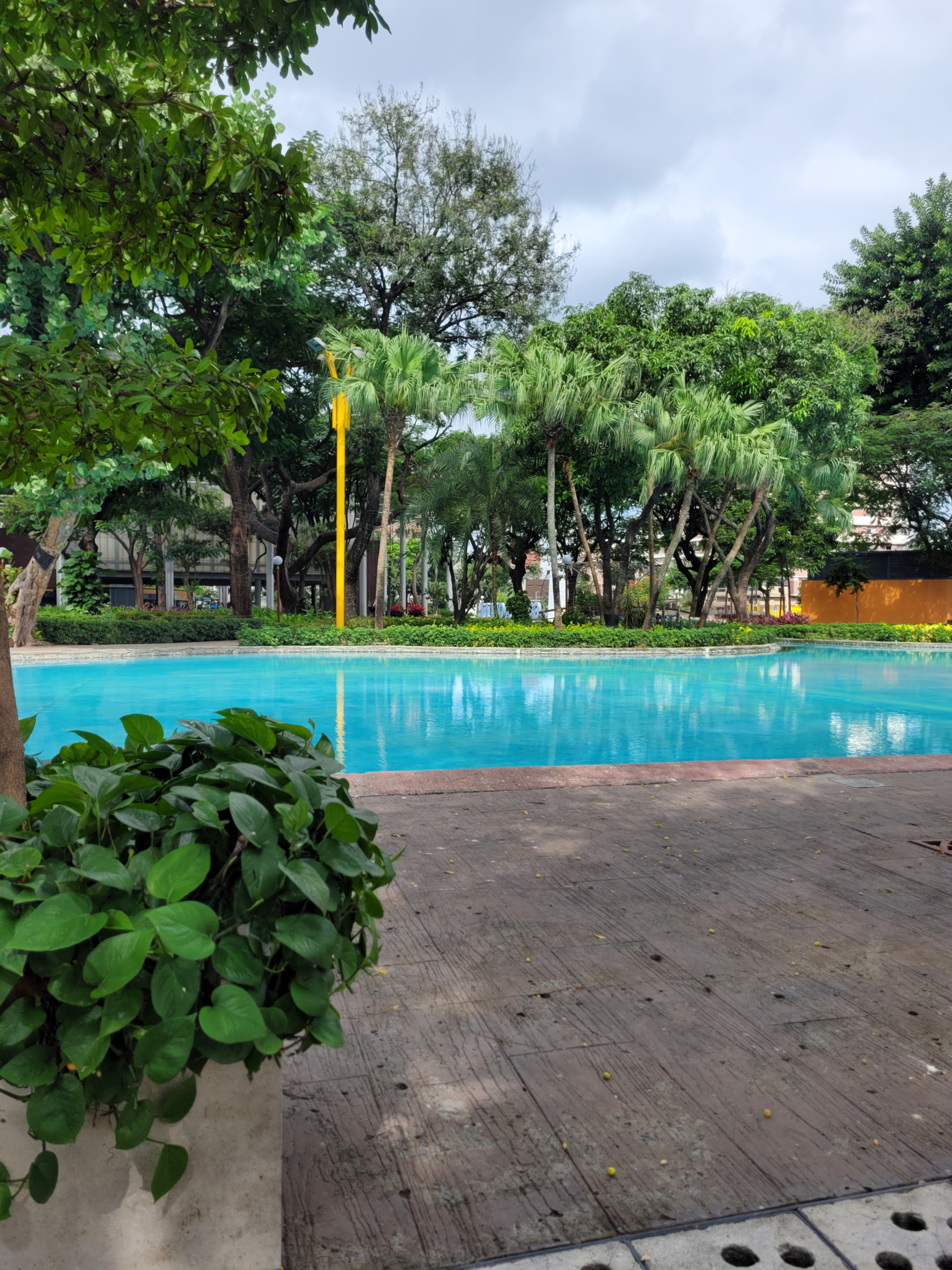Plaza Rodolfo Baquerizo Moreno 5